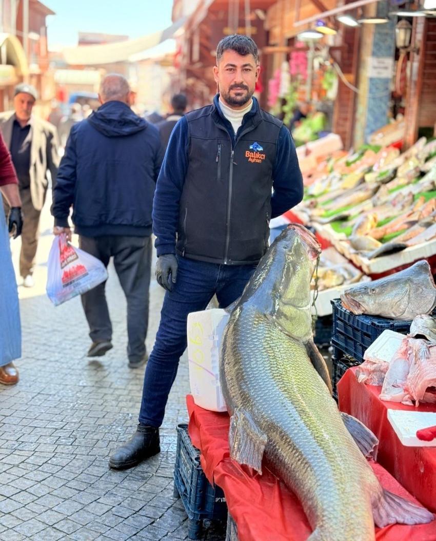 Elazığ'da dev balığı almak için yapılanlar kurban pazarlığını aratmadı
