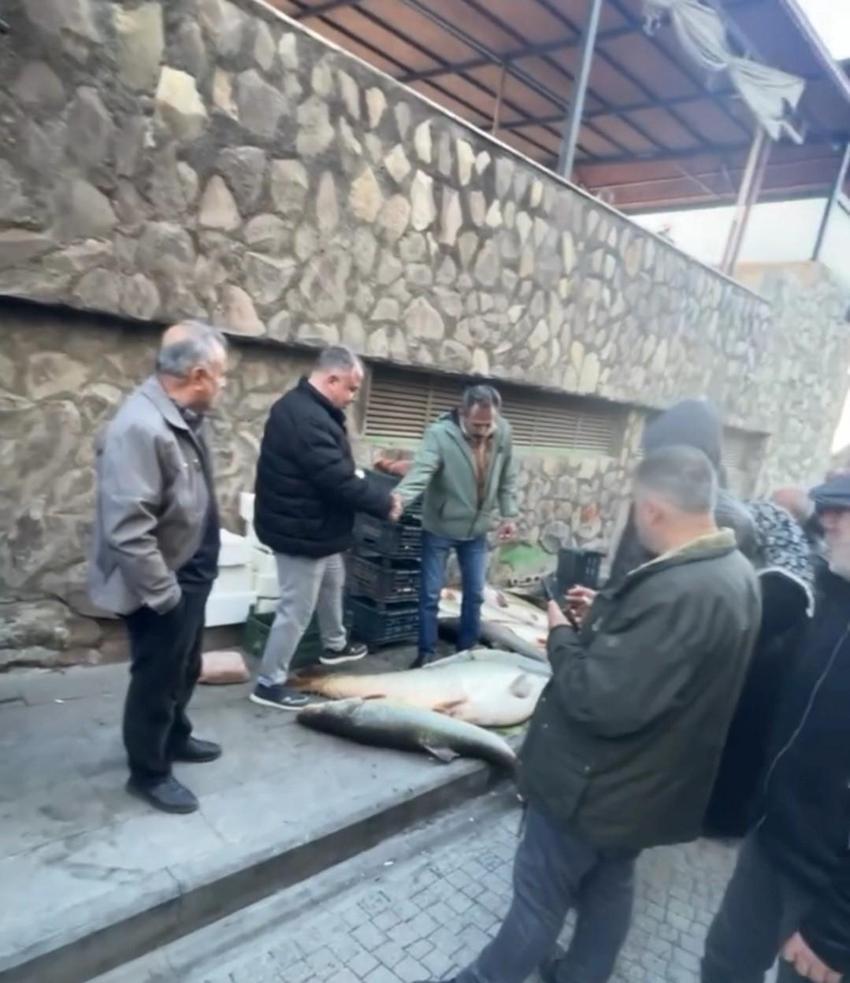 Elazığ'da dev balığı almak için yapılanlar kurban pazarlığını aratmadı