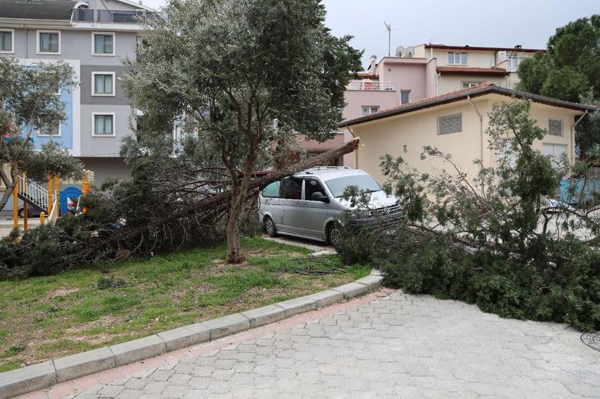 Denizli’de şiddetli rüzgar çatılaı uçurdu, ağaçları ve araçları devirdi, insanlar yürüyemedi