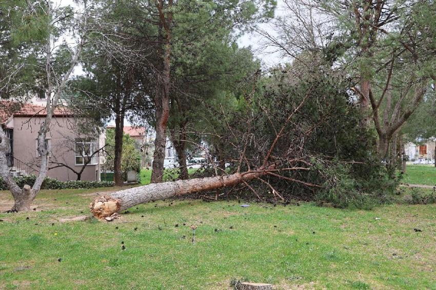 Denizli’de şiddetli rüzgar çatılaı uçurdu, ağaçları ve araçları devirdi, insanlar yürüyemedi