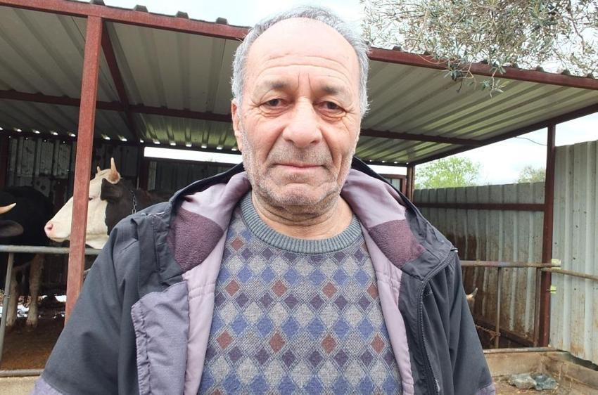 Kurbanlık fiyatları belli oldu: Balıkesir'de görücüye çıktı!