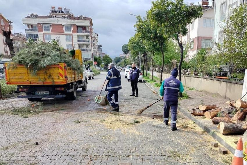 Aydın'da fırtına ağaçları devirdi! Araçlar zarar gördü