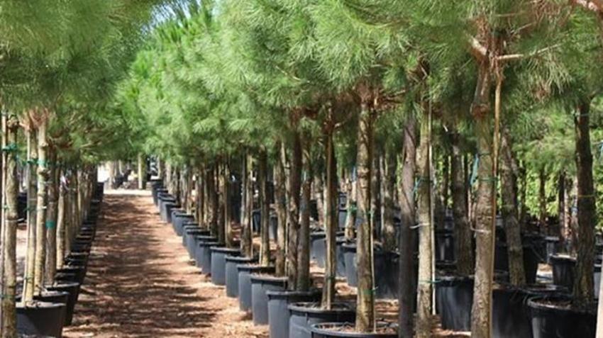 Emekli banka müdürüydü şimdi dünya devlerine meydan okuyor! Türkiye'nin her yerinden talep yağıyor