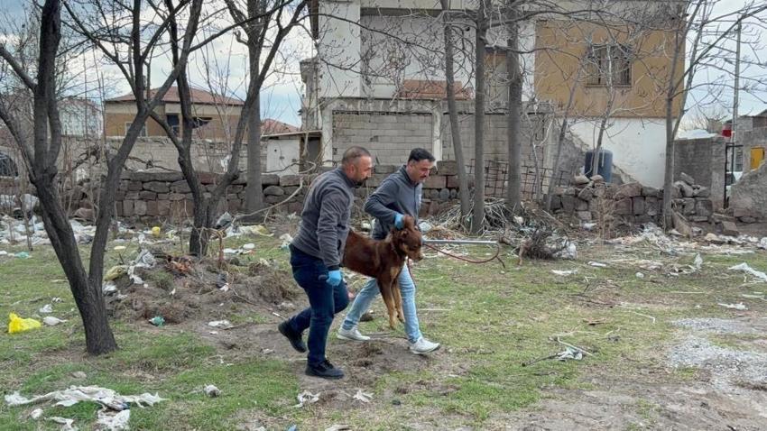 Kayseri'de görülmemiş olay! 12 yaşında dehşeti yaşadı, 3 ameliyat geçirdi!