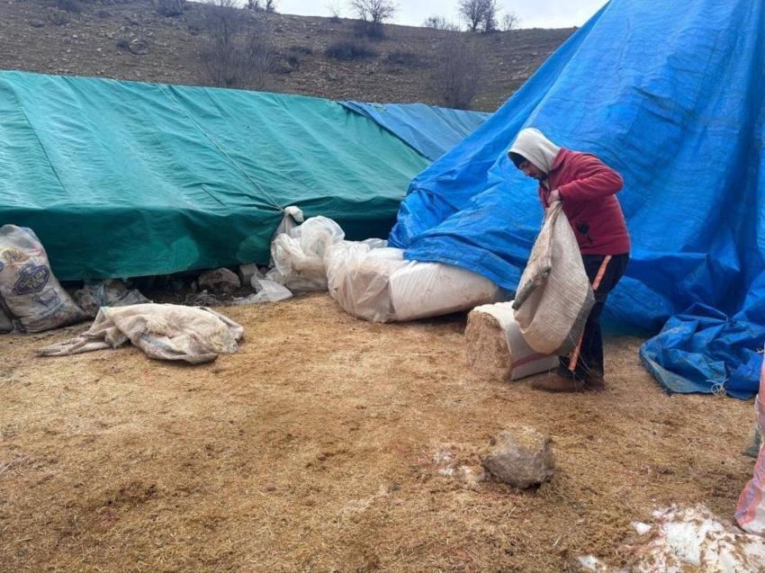 Erzincan'da kuzu katımı başladı! Drone ile havadan görüntülendi