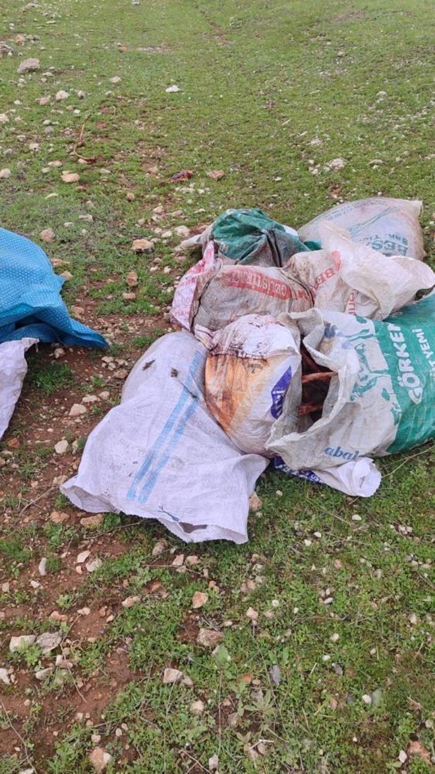 Şanlıurfa'da mide bulandıran görüntü: Çuvalın içinden kesilmiş at başı bulundu!