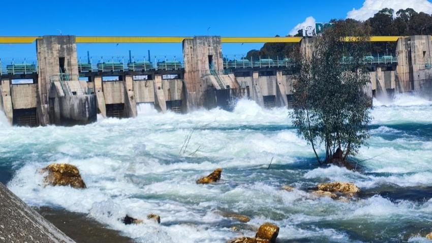 Adana böylesini görmedi! 20 yıl sonra bir ilk: Duyan oraya akın etti