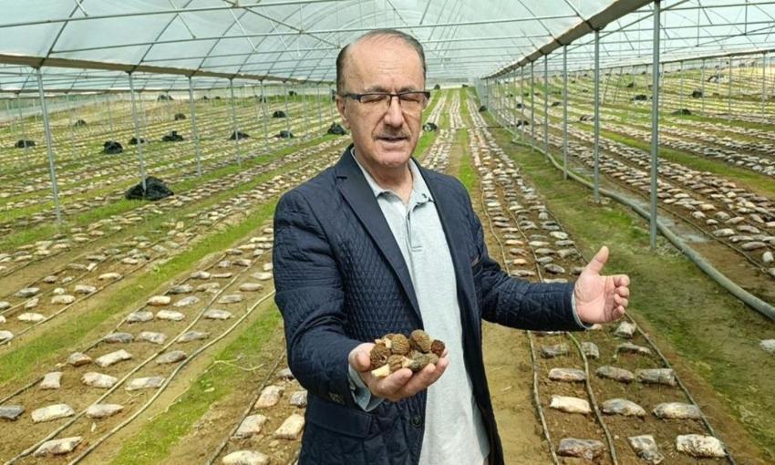 Antalya'da deneme amaçlı ekti: 900 kilo elde etti