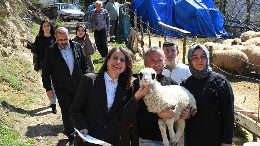 Samsun'da 46 yıldır çözülmeyen arazi davası 28 günde çözüldü! Bu yöntemden sonra küslükler de bitti