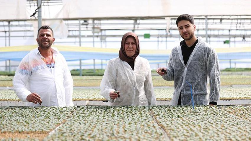 'Yapamazsın' diyenlere aldırmadı bileziklerini satarak üretime başladı, 14 dönümde, yılda 40 milyon fide üretmeye devam ediyor!