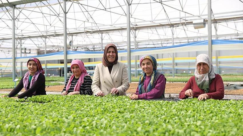 'Yapamazsın' diyenlere aldırmadı bileziklerini satarak üretime başladı, 14 dönümde, yılda 40 milyon fide üretmeye devam ediyor!