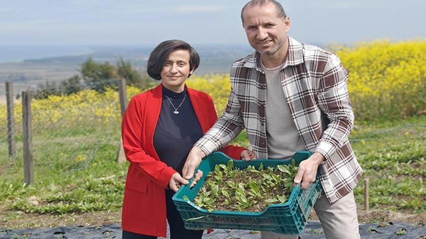 Samsun’da 600 tane ile başladılar! Şimdi taleplere yetişemiyorlar, hedef dünya pazarı