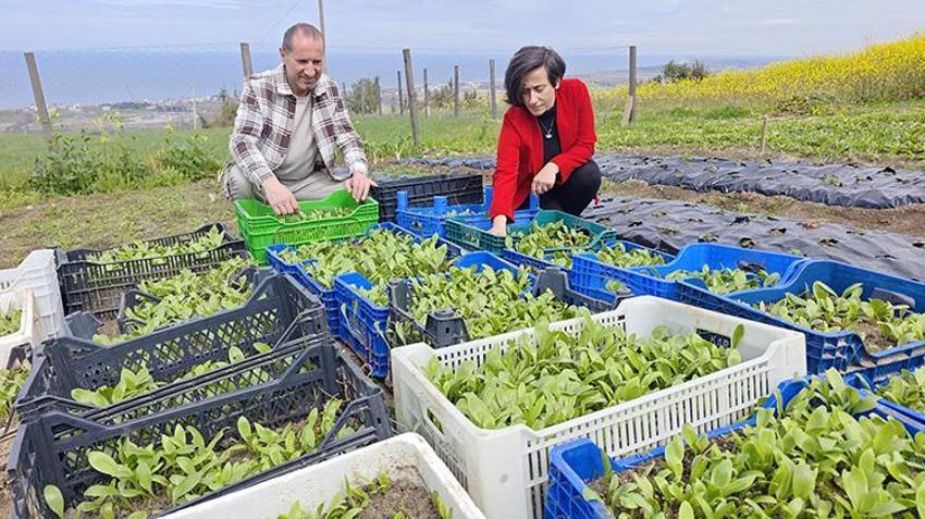 Samsun’da 600 tane ile başladılar! Şimdi taleplere yetişemiyorlar, hedef dünya pazarı