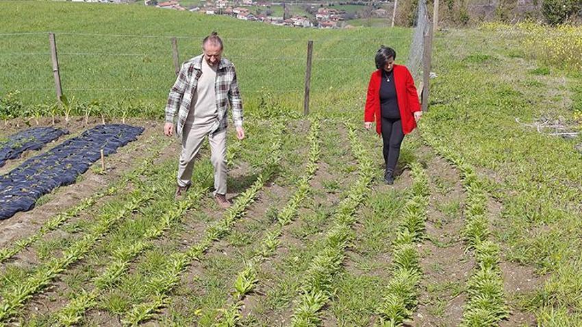 Samsun’da 600 tane ile başladılar! Şimdi taleplere yetişemiyorlar, hedef dünya pazarı