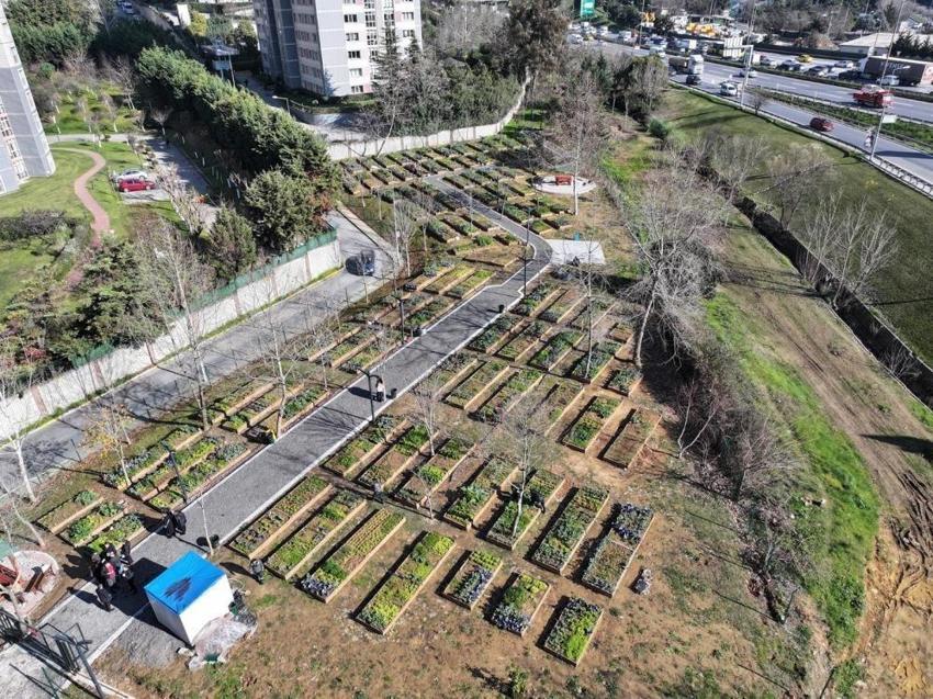 Ataşehir Kent Bostanları için süreç başlıyor! 6 ay geçerli olacak