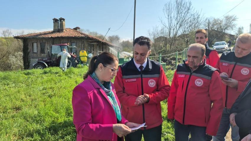 Fındığın gizli düşmanına samuray darbesi: Bartın'da kokarca operasyonu!