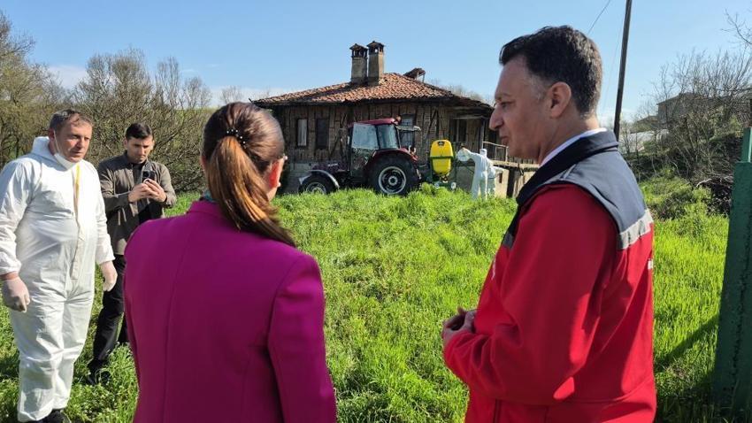 Fındığın gizli düşmanına samuray darbesi: Bartın'da kokarca operasyonu!