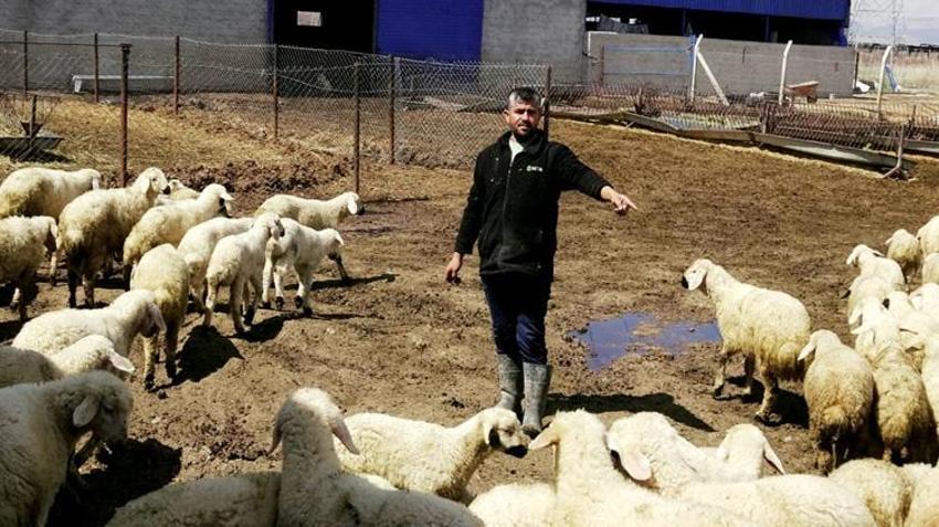 Kayserili vatandaşın kapısını kimse çalmıyor! 80 bin lira maaş veriyorlar ama çalışacak eleman bulamıyorlar