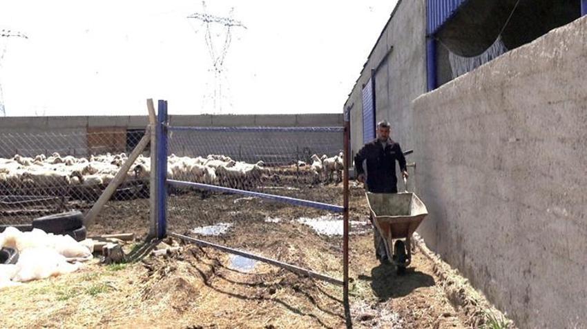 Kayserili vatandaşın kapısını kimse çalmıyor! 80 bin lira maaş veriyorlar ama çalışacak eleman bulamıyorlar