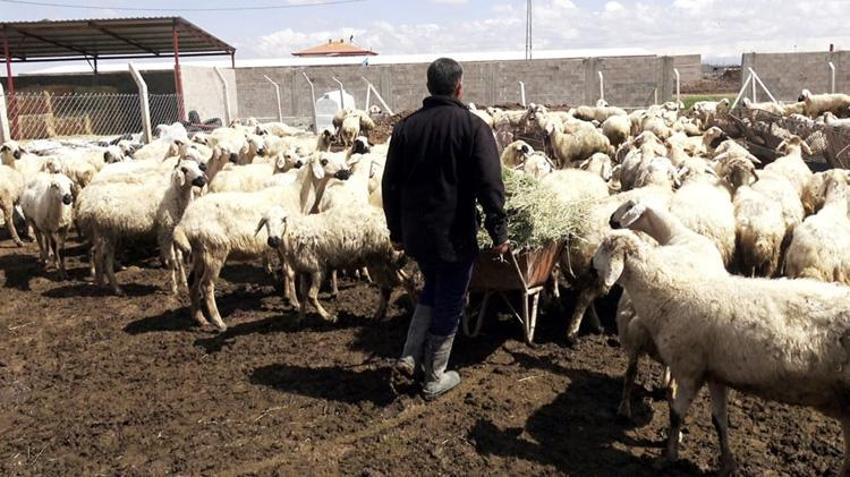Kayserili vatandaşın kapısını kimse çalmıyor! 80 bin lira maaş veriyorlar ama çalışacak eleman bulamıyorlar