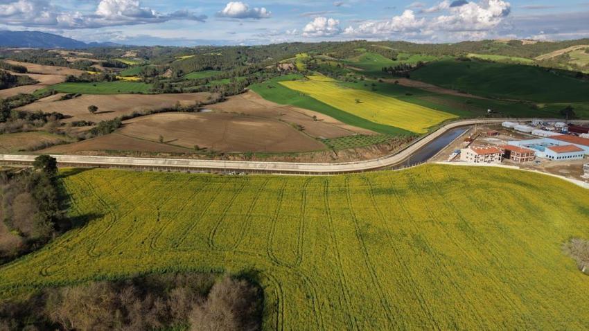 Adana'nın yeni altını: İlk kez ekildi, verim rekoru kırıldı: %75 hibe desteği meyvelerini verdi