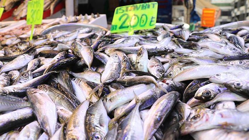 Tezgahlarda hamsi bitti yerine istavrit geldi! Kilosu 200 liradan kapış kapış satılıyor