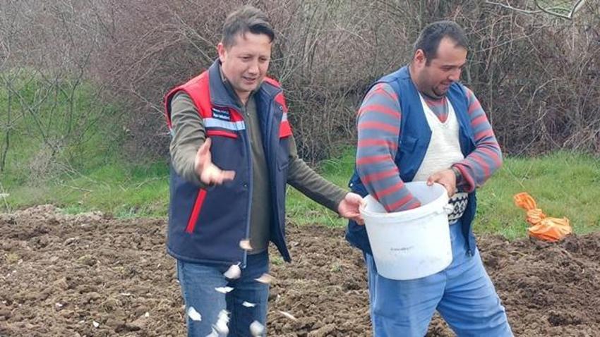 Bursalı üretici bu tohumun peşinde! 1 yıl geçse bile ilk günkü gibi taze kalıyor: Pazarda kapış kapış gidiyor