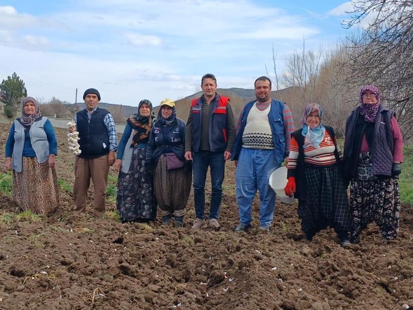 Bursalı üretici bu tohumun peşinde! 1 yıl geçse bile ilk günkü gibi taze kalıyor: Pazarda kapış kapış gidiyor