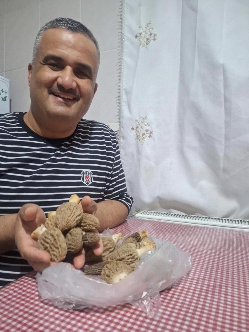 Doğada kendiliğinden yetişiyor! Bölge halkı geçimini bu üründen sağlıyor: Kilosu altın değerinde