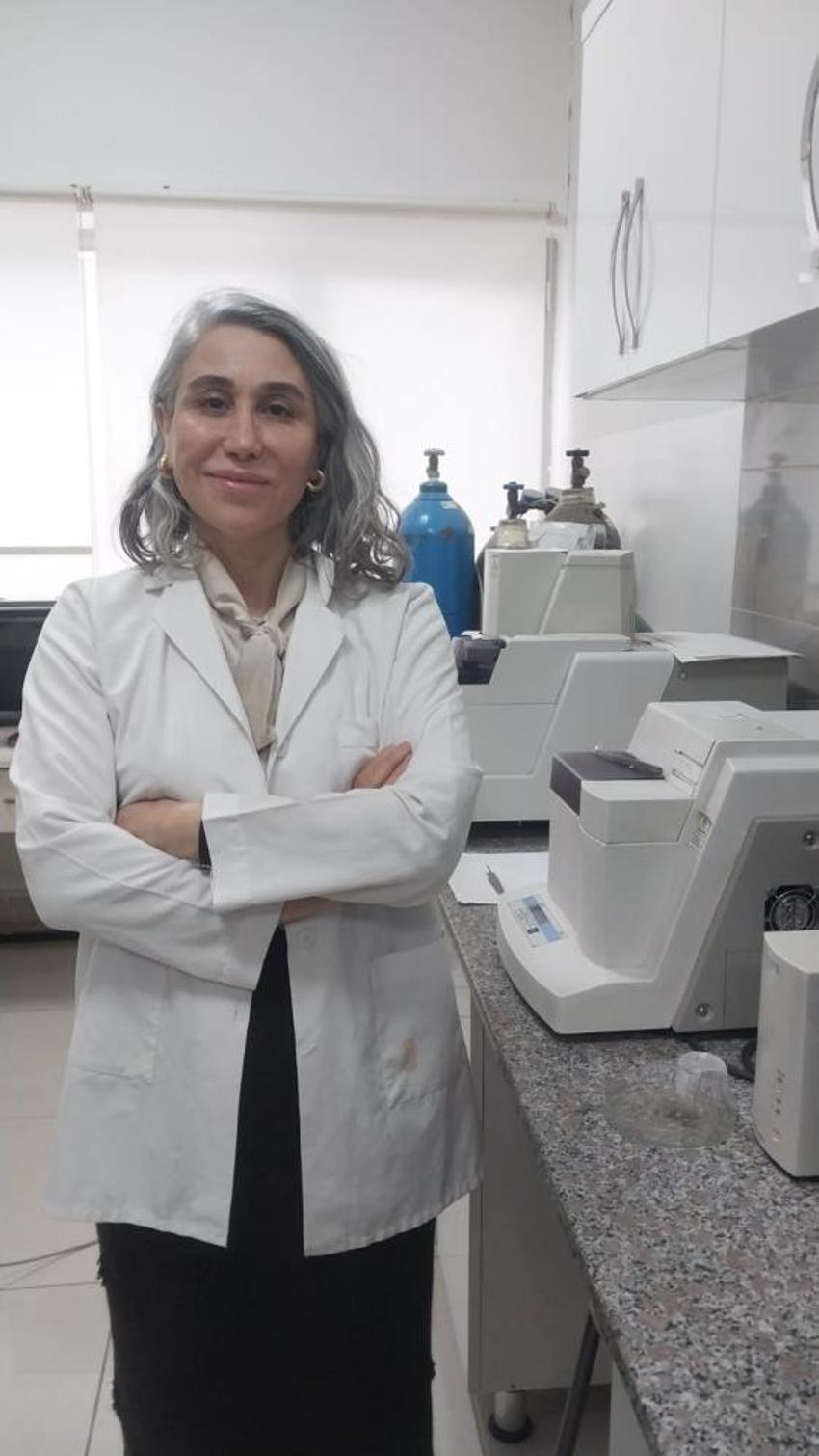 Türkiye'nin enerji bağımsızlığı için dev adım: TÜBİTAK destekli Sodyum-İyon bataryası geliyor: İmzalar atıldı!
