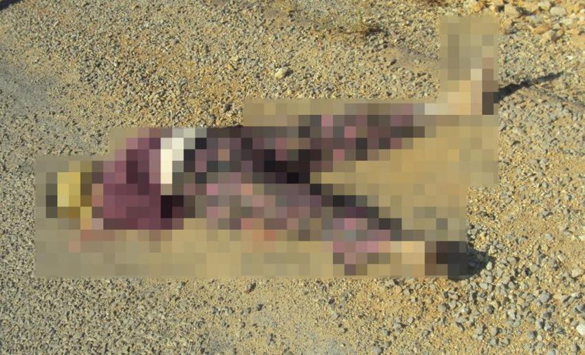 Antalya'da vahşice katledilmişti! Korkunç sır 15 yıl sonra çözüldü