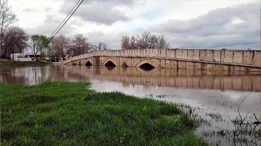 Edirne'de alarma geçildi! Polisler sabah akşam nöbet tutuyor
