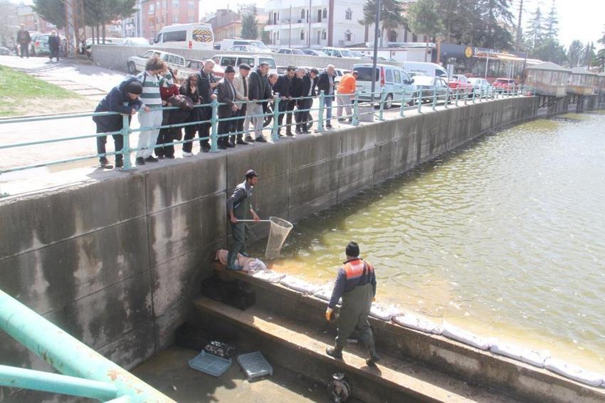 Av yasağı döneminde kritik müdahale! Konya'da ekipler balıklar için seferber oldu