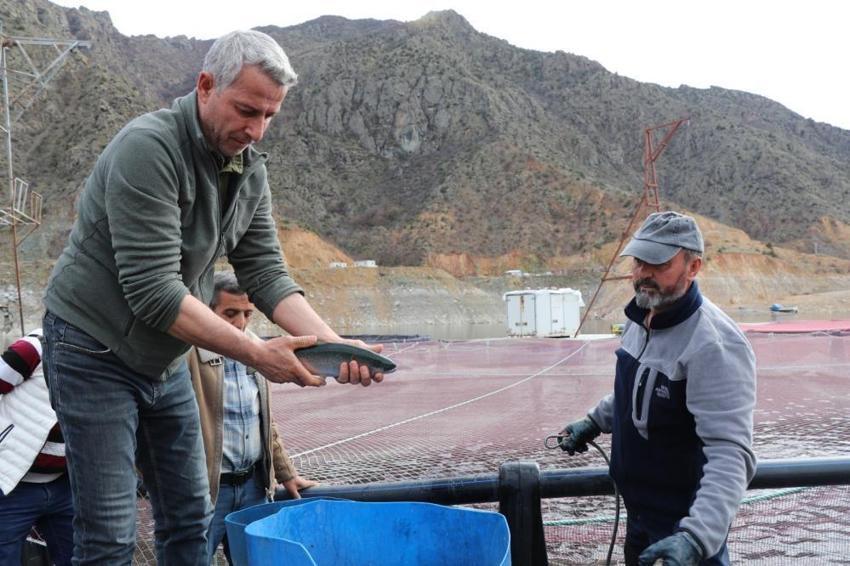Denize kıyısı olmayan Erzurum'da rekor üretim: Japonlar bu balığın peşinde! Hedef 300 ton
