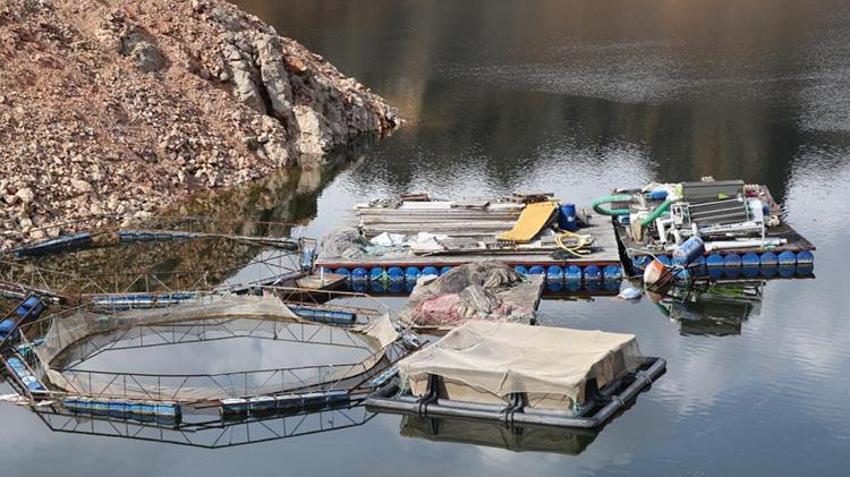 Denize kıyısı olmayan Erzurum'da rekor üretim: Japonlar bu balığın peşinde! Hedef 300 ton