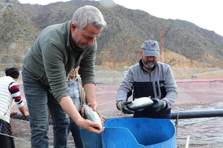 Denize kıyısı olmayan Erzurum'da rekor üretim: Japonlar bu balığın peşinde! Hedef 300 ton