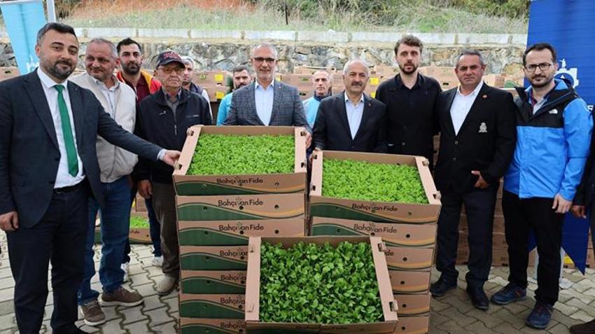 Kocaeli'de dev fide desteği! %75 hibeli fide desteği başladı: İşlenmeyen arazi kalmayacak, Son gün 15 nisan