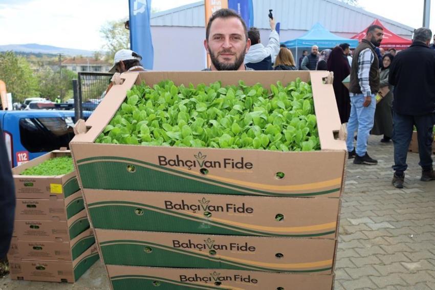 Kocaeli'de dev fide desteği! %75 hibeli fide desteği başladı: İşlenmeyen arazi kalmayacak, Son gün 15 nisan