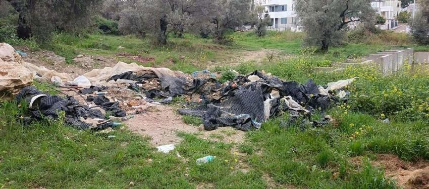 Kuşadası'nın simgesi endemik bitki Tülüşah, yok olma tehlikesiyle karşı karşıya