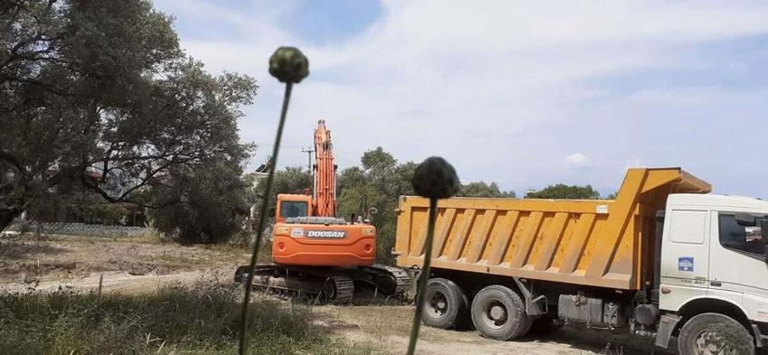 Kuşadası'nın simgesi endemik bitki Tülüşah, yok olma tehlikesiyle karşı karşıya