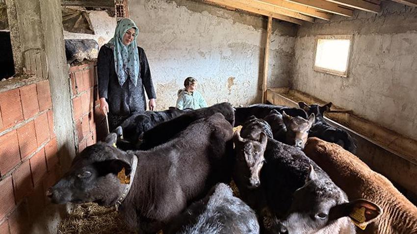 Samsun'da devlet desteği alan genç kadın sürüsünü büyüyttü