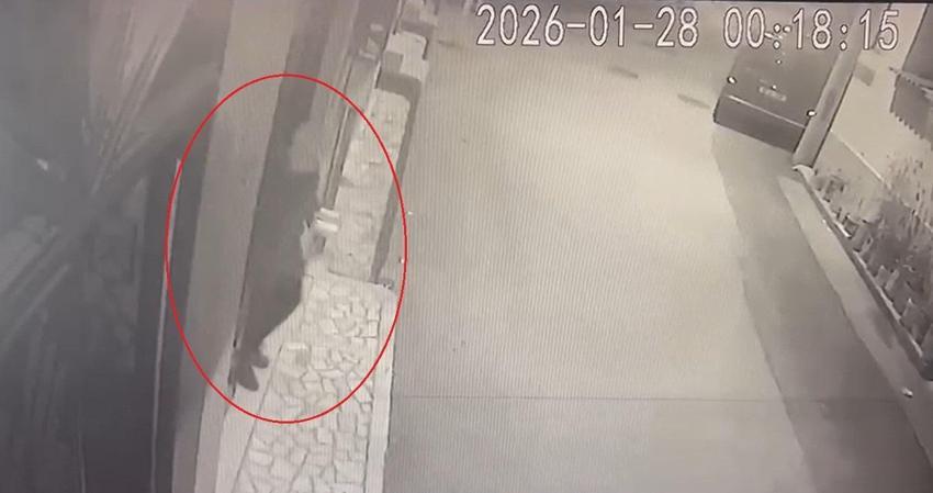 Bursa'da kan donduran olay! 68 yaşındaki kadın eşini öldürdü: 15 parçaya bölüp çöpe attı