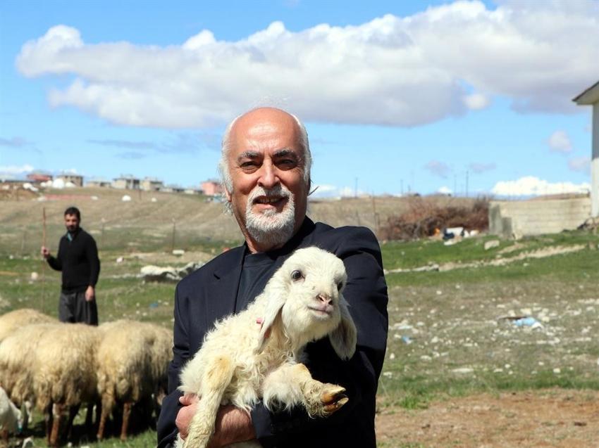 Dünyada sadece Van'da yetişiyor: YYÜ üzerine çalıştı, 31 adet dünyaya geldi!
