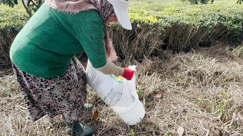 Sezon öncesi tüm hazırlıklar tamamlandı! Üretici Bahçeye indi, ilk sürgün için geri sayım