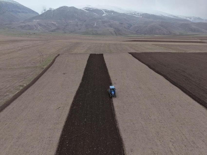 Iğdır'da yüzde 33 artış için başladı: Üretici tarlaya döndü