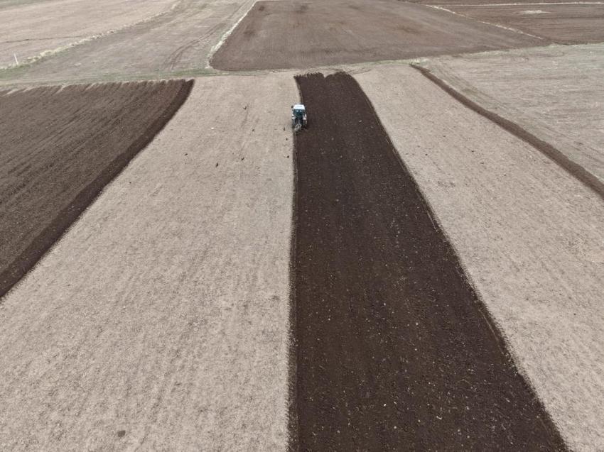 Iğdır'da yüzde 33 artış için başladı: Üretici tarlaya döndü