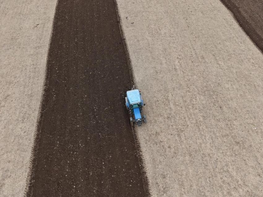 Iğdır'da yüzde 33 artış için başladı: Üretici tarlaya döndü