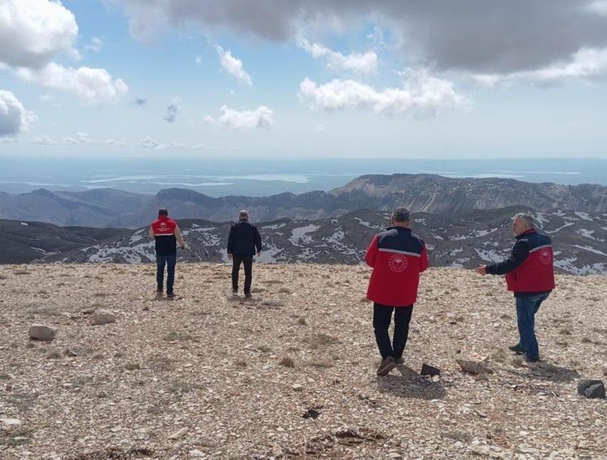 Adıyaman'da hububat üreticisi için kritik uyarı! Zararlı ovaya indi