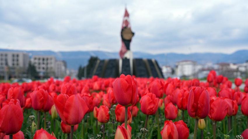 Kahramanmaraş'ta kavşaklarda açan çiçekler görsel şölen oluşturdu