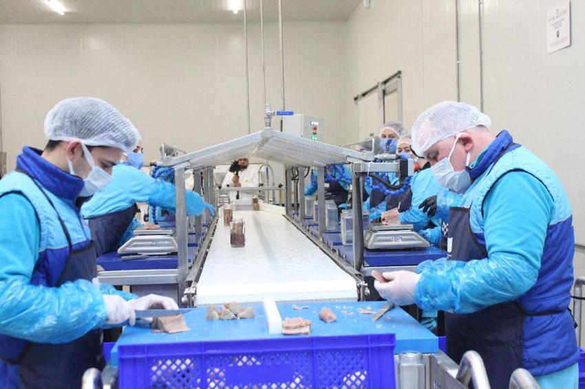 Türkiye'nin ilk coğrafi işaretli su ürünü olan ve 3 bin yıllık geçmişe sahip Sinop Lakerda'sının üretimi başladı